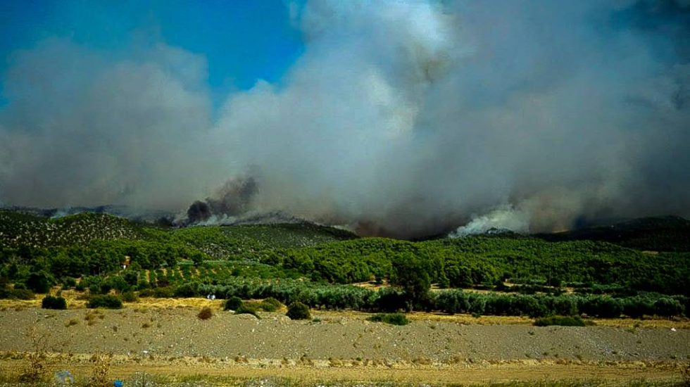 Καπνός από φωτιά